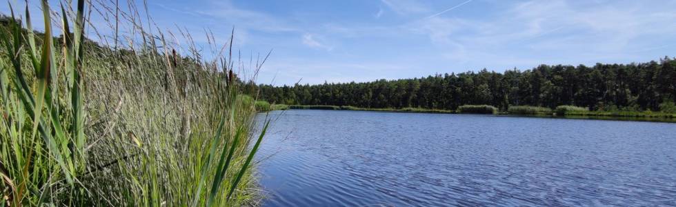 Pętla Kłobuck -  Bagno Jezioro - Kłobuck z Ulą