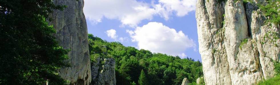 Dolinki Podkrakowskie, Będkowice Prądnik, Bolechowice, Kobylany