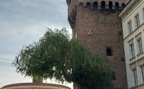 Wieża obronna Reichenbach, w głebi muzeum ziemi Gorlickiej i Zgorzeleckiej?