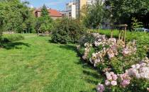 Kwietny Ogród Krakowian