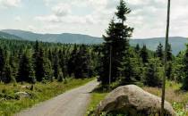 Droga na Śląskie Kamienie zbliżenie na Główny Masyw Karkonoszy