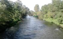 Rzeka Przemsza