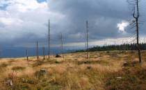 Widok na Beskid Żywiecki