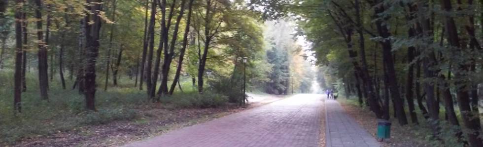 Trening po Parku w Chorzowie 2014/10/4 17:29