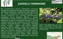 ZAROŚLA TARNINOWE