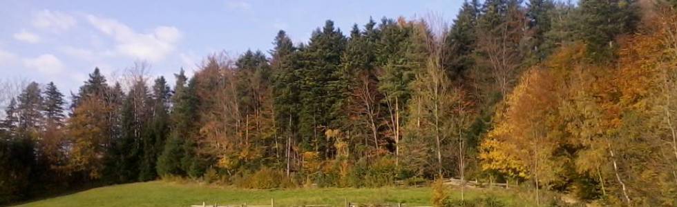 Nowy Sącz, żółtym szlakiem do przysiółka  Bartyszowiec, Kamionka Wielka