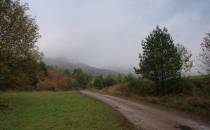 Dolina Bielicznej jesienią