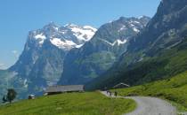 W tle przełęcz Grosse Scheidegg