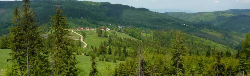 Żabnica - Hala Boracza - Hala Lipowska - Hala Rysianka - Żabnica