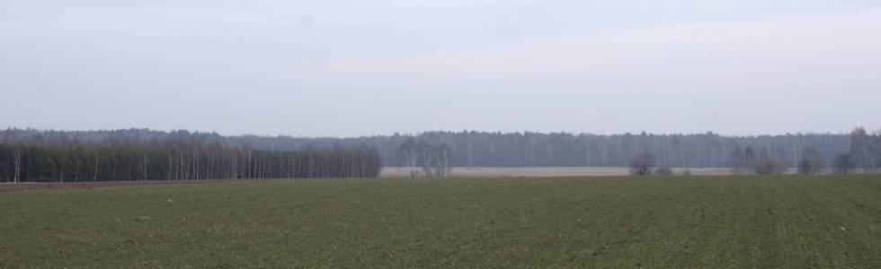 21.02 Podlasie