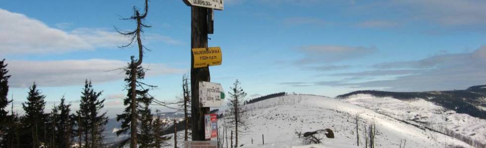 03. Malinowska Skała (1152 m n.p.m.) - Zielony Kopiec (1152 m n.p.m.)