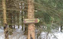 Oznaczenie szlaku - kierunek Marcinków Sawanna
