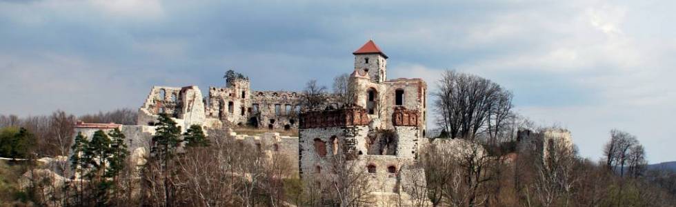 WYŻYNA KRAKOWSKO-CZĘSTOCHOWSKA - Ruiny Zamku Tęczyn