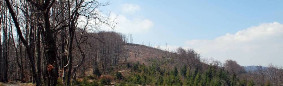 BESKID MAŁY - GRUPA Magurki Wilkowickiej - Czupel