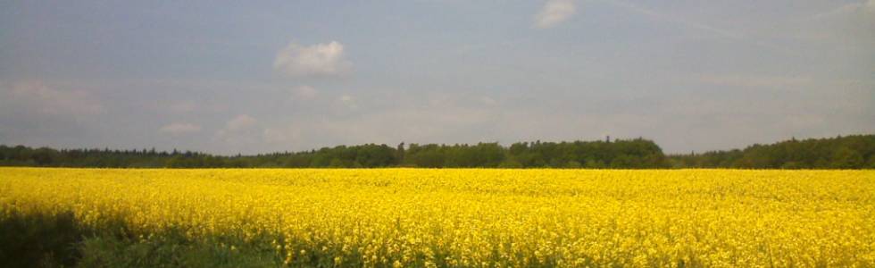 Pogórze i Góry Kaczawskie