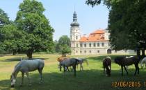 Żyrowa Palace.