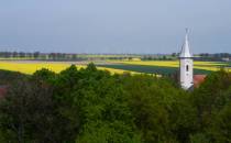widok z wieży obserwacyjnej w Mściwojowie