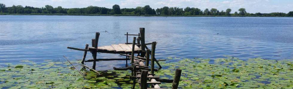 Po skarby nad Narew