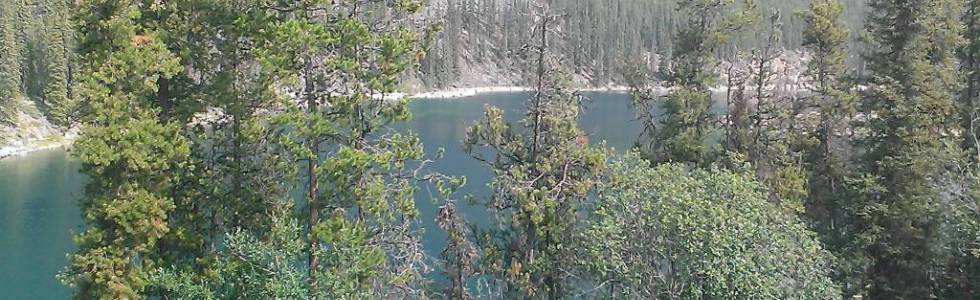 Wapiti Campground - Athabasca Falls