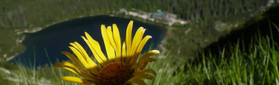 87. Štrbské Pleso-Popradské pleso-Batizovské pleso-Tatranský symbolický cintorín