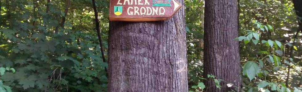 Zamek Grodno