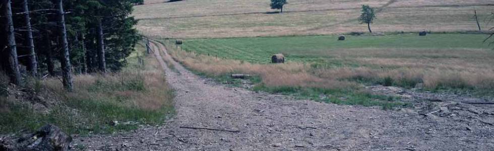 Suchoń - Skowronia Góra i Trzy Krzyże