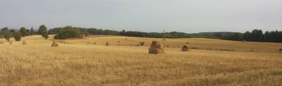 Brodnica Dolna - Stare Czaple - Smokowo - Zgorzałe - Brodnica Dolna