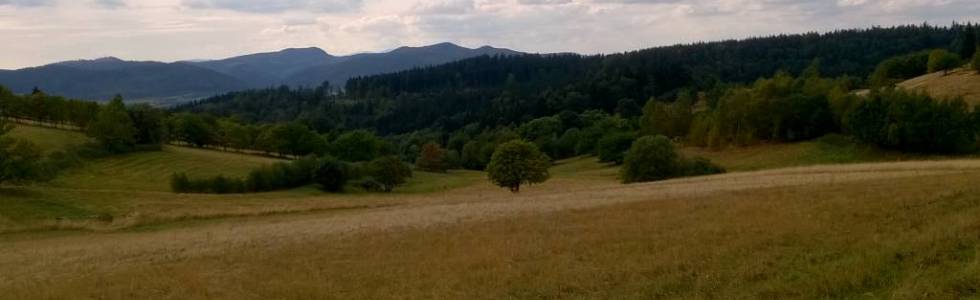 03-09-2015 Kolce-Przeł Sokola-Sierpnica-Kolce