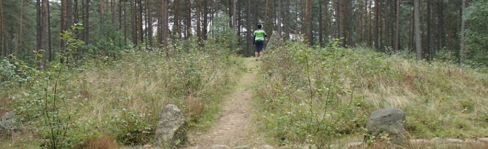 Tropem dawnych cywilizacji - kamienne kręgi w Leśnie