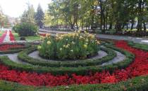 Park Solankowy-Dywan kwiatowy jesienią