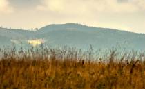 Graniczny Grzbiet dojĹ›cie do Bukowej Hory widok w kierunku Kopicy i Granicznika w GĂłrach Suchych