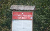 Rezerwat Przyrody Mogielica