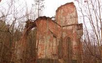 Ruina pałacu w Lubnie