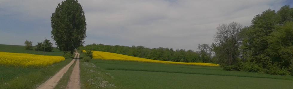 Oseredów - Tomaszów Lubelski