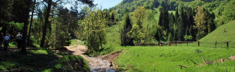 PIENINY - MAŁE Peniny - Wąwóz Homole, Wysokie Skałki