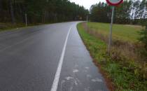 Nawierzchnia szlaku - wydzelony asfaltowy pas dla rowerów