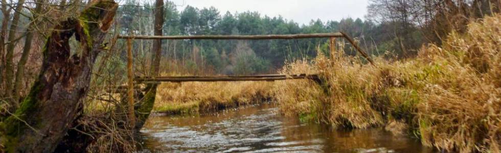 Rzeka Wierna na trasie Wierna Rzeka - Bocheniec (OW Wierna)