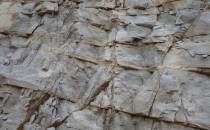 granit poprzecinany żyłowymi pegmatytami