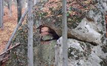 Wąwóz Żarski - okno skalne w wapieniu skalistym (jura górna)