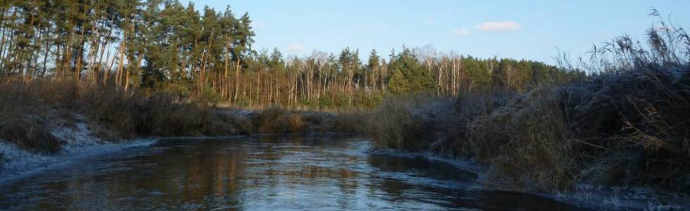 Luciąża na trasie Kłudzice - Murowaniec (9,8 km)