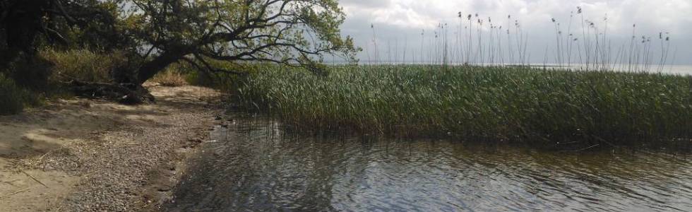 trasa rowerowa wokół Zalewu Szczecińskiego