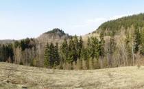 Panorama Garbatki 797m i Pośredniaka 782 z Polany za Garbatką