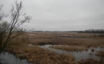 Widok z zerwanego mostu na Narew