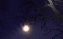 Księżyc przyświeca nam trasę ;)