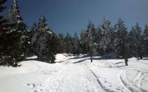 w drodze na Śnieznik