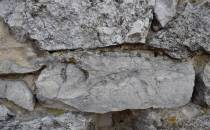 dewońskie skały węglanowe (dolomity lub wapienie) na ścianie wapiennik