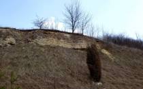 Góry Moszyńskie - odsłonięcie wapieni detrytycznych miocenu