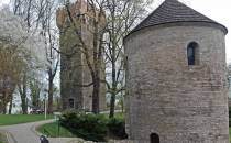 Rotunda romańska, w tle Wieża Piastowska.