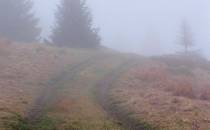 Polana Turbacz ... droga do schroniska okryta mgłą ...