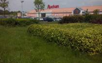 Auchan